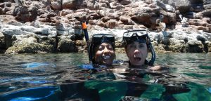 Espiritu Santo/Sea Lion Snorkeling With the Cortez Club