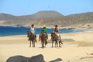 Horseback Riding On The Beach