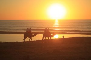 Camel Ride on the Beach