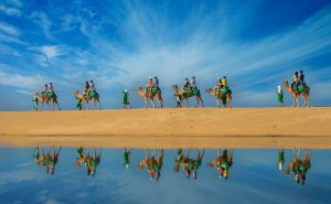 Camel Ride on the Beach