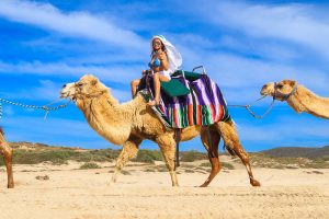 Camel Ride on the Beach